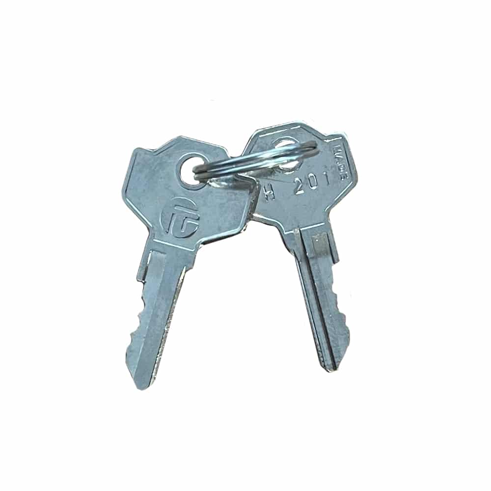 Clé de déverrouillage FAAC N.201 (Réf : 713021) – Lot de 2