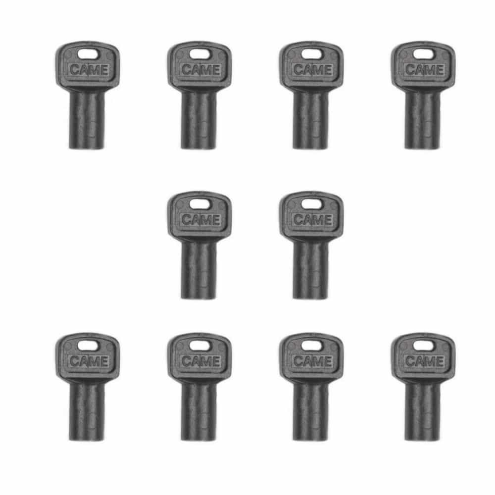Clé de déblocage universelle CAME – Lot de 10 (Réf : 119RIY077)