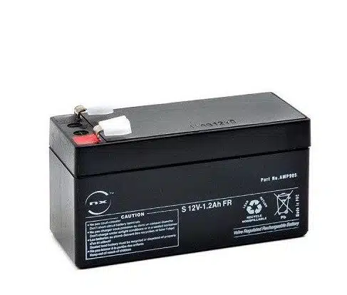 Batterie 12V CAME 3199PNP1212